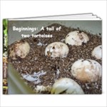 Tiny tortoises - 7x5 Photo Book (20 pages)