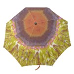 Temptation - Folding Umbrella