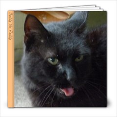 buddy book - 8x8 Photo Book (20 pages)