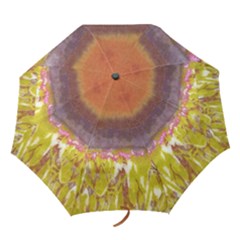 Temptation - Folding Umbrella