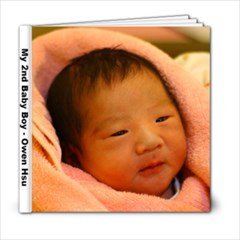 Owen Hsu - 6x6 Photo Book (20 pages)