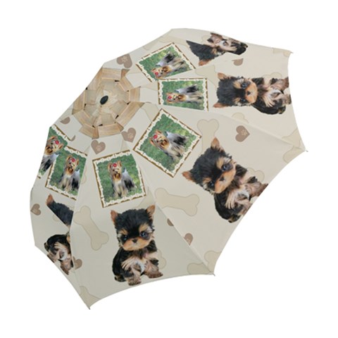 Folding Umbrella 