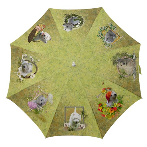 Straight Umbrella 