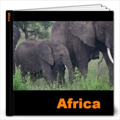 AFRICA - 12x12 Photo Book (20 pages)
