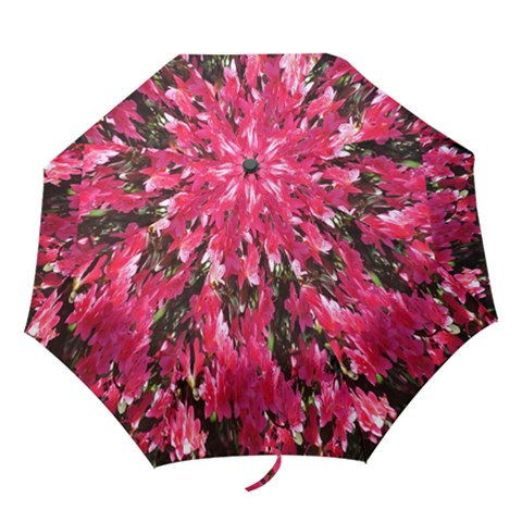 Folding Umbrella 