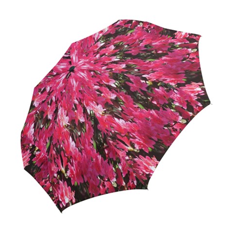 Folding Umbrella 