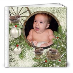 Christmas  Winter Wrens 8x8 20 pg - 8x8 Photo Book (20 pages)