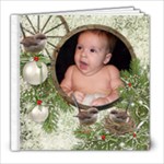 Christmas  Winter Wrens 8x8 20 pg - 8x8 Photo Book (20 pages)