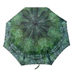 Green Mystery - Folding Umbrella