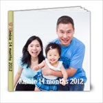 Ambie 14 months Face - 6x6 Photo Book (20 pages)