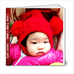 Xmas Book2 - 6x6 Photo Book (20 pages)