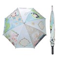 Umbrella image