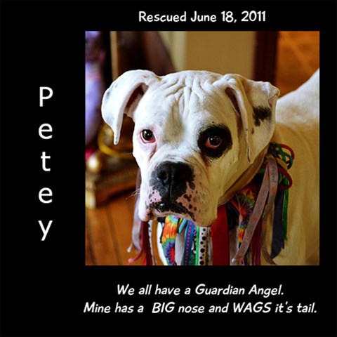 Petey Blk Side Name By Ann 12 x12  Scrapbook Page - 1