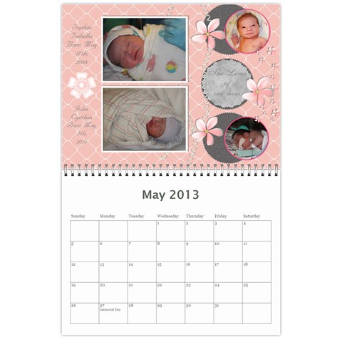 Denas 2013 Calendar By Tim May 2013