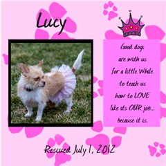 lucy pink 1 - ScrapBook Page 12  x 12 