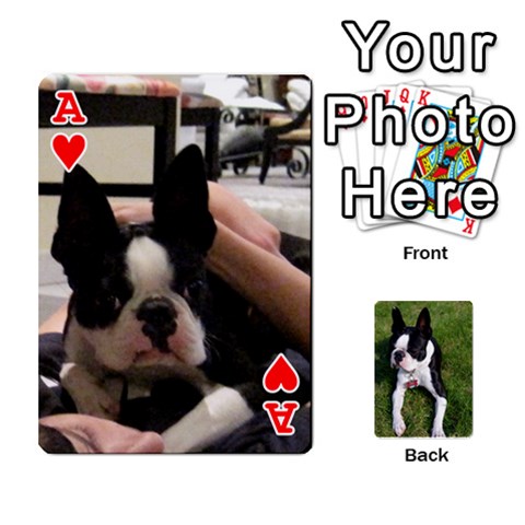 Ace Dominocards By Daniel Rubinstein Front - HeartA