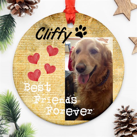 Cliffy By Sherry Olford Front