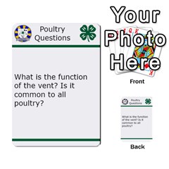 Poultry Question Cards - Multi-purpose Cards (Rectangle)
