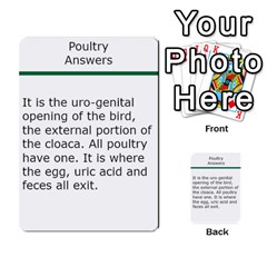 Poultry Question Cards By Lmw Back 1