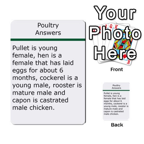 Poultry Question Cards By Lmw Back 4