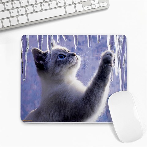Icicle Kitten Front