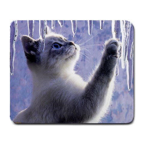 Icicle Kitten Front