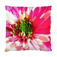 Pink and White Pillow - Standard Cushion Case (One Side)