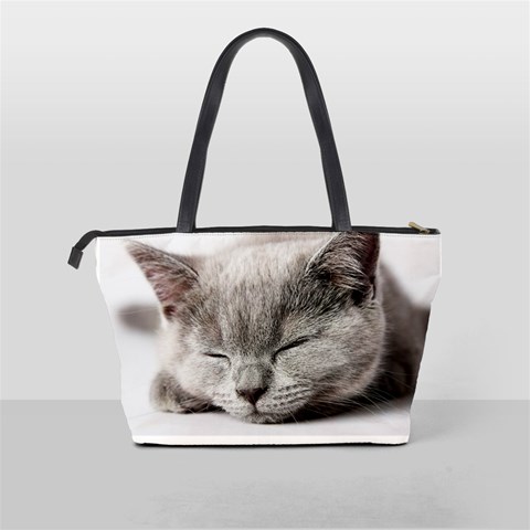 Cat By Divad Brown Back