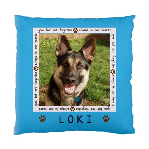 Loki By Tonya Boden Front