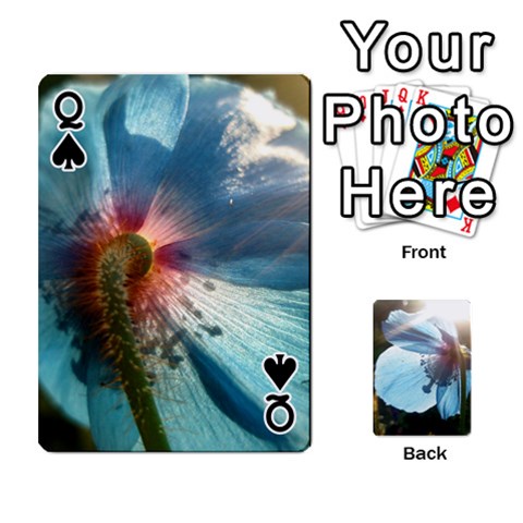 Queen Playing Cards By Molly Front - SpadeQ