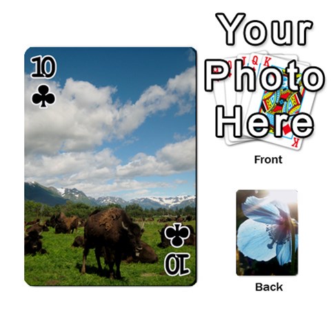 Playing Cards By Molly Front - Club10
