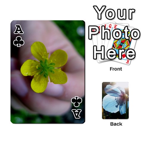 Ace Playing Cards By Molly Front - ClubA