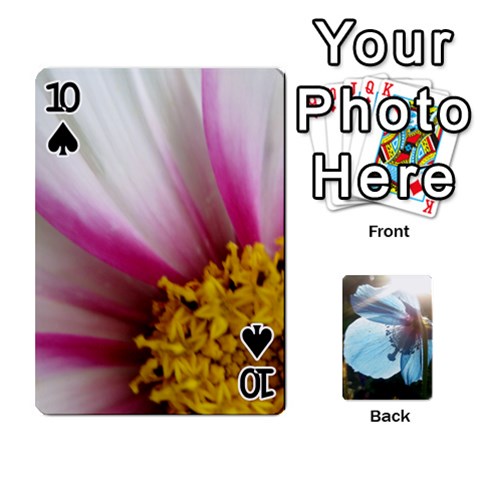 Playing Cards By Molly Front - Spade10