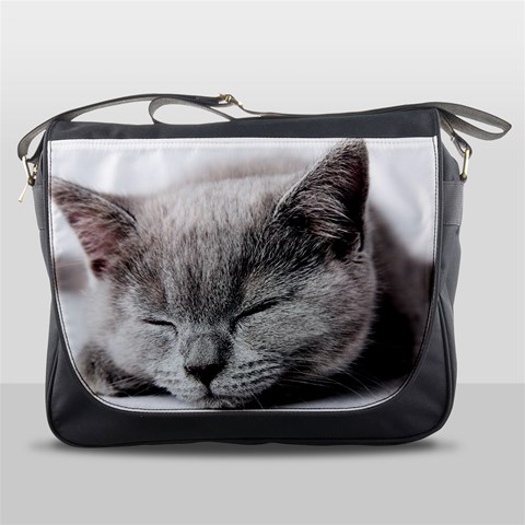 Cat By Divad Brown Front