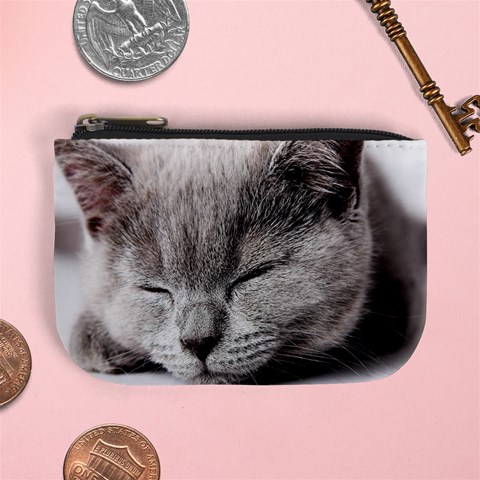Cat By Divad Brown Front