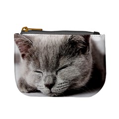 cat - Mini Coin Purse