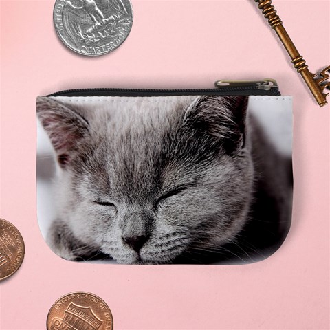 Cat By Divad Brown Back