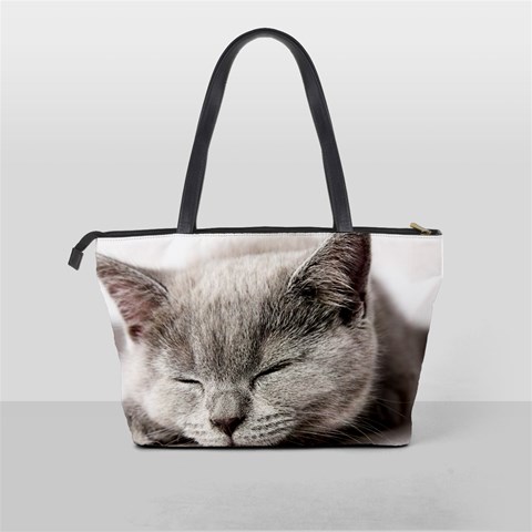 Cat By Divad Brown Back