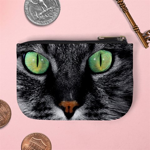Cat By Divad Brown Back