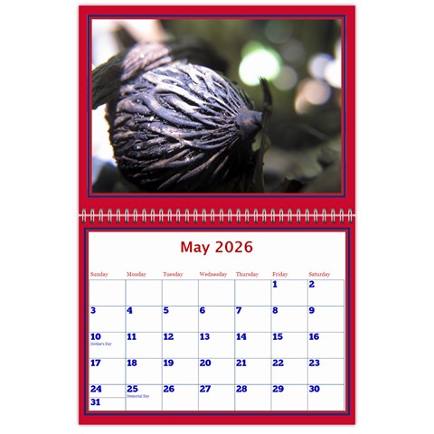 A Little Perfect Wall Calendar 11x8 5 By Deborah May 2026