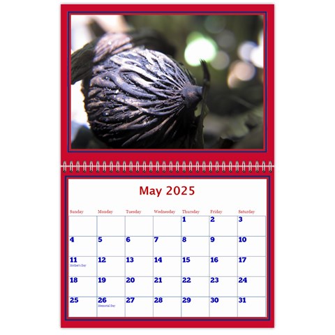 A Little Perfect Wall Calendar 11x8 5 By Deborah May 2024