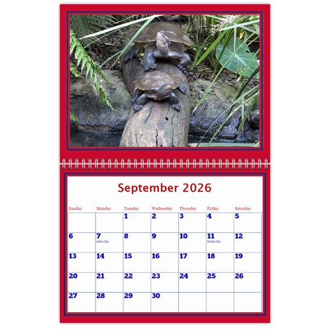 A Little Perfect Wall Calendar 11x8 5 By Deborah Sep 2026