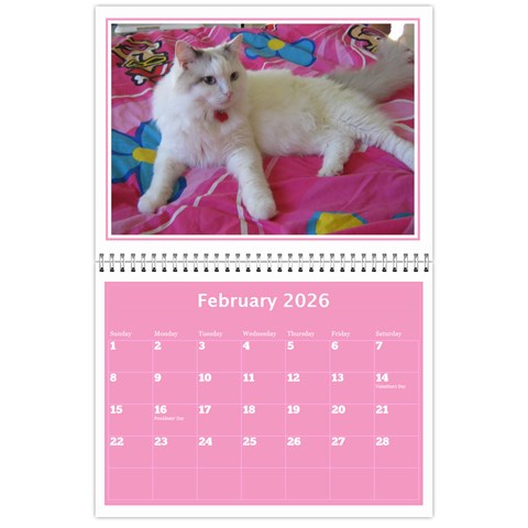 Pink Princess Wall Calendar 11x8 5 By Deborah Feb 2026
