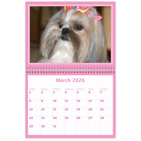 Pink Princess Wall Calendar 11x8 5 By Deborah Mar 2026