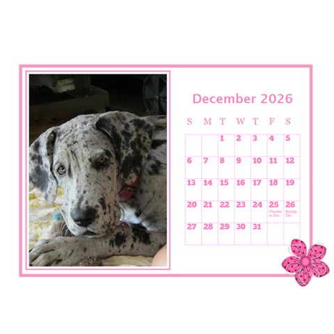 Pink Princess Desktop Calendar (8 5x6) By Deborah Dec 2026