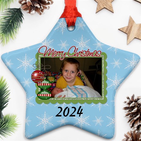 2024 Star Ornament 2 By Martha Meier Front