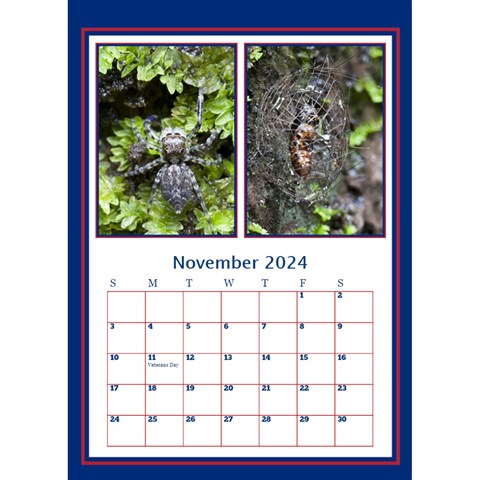 Photograph  Calendar By Deborah Nov 2024