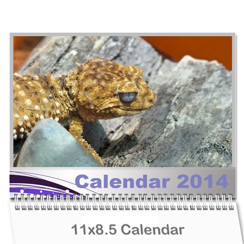 Janine 2014 Calendar By Deborah Cover