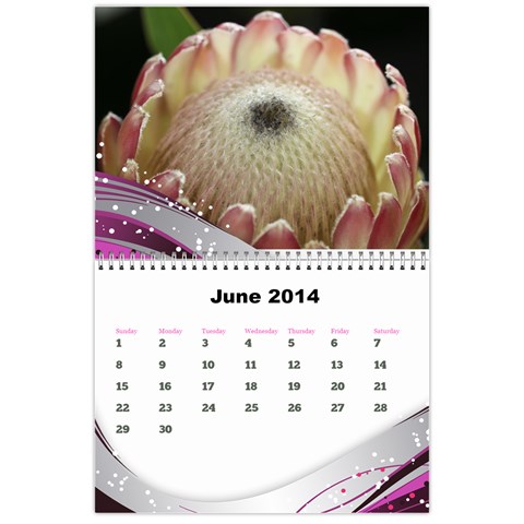 Janine 2014 Calendar By Deborah Jun 2014
