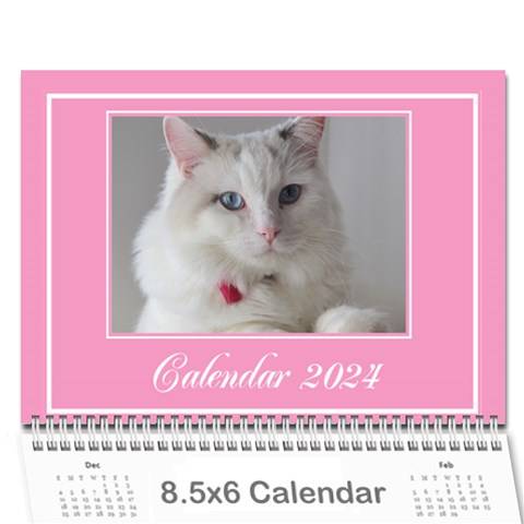 Pink Princess Wall Calendar (any Year) 8 5x6 By Deborah Cover